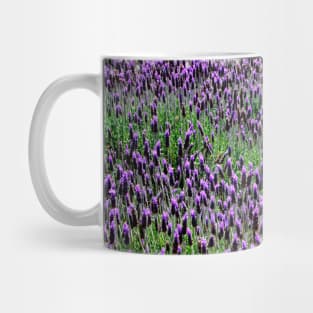 Lavender floral Display Mug